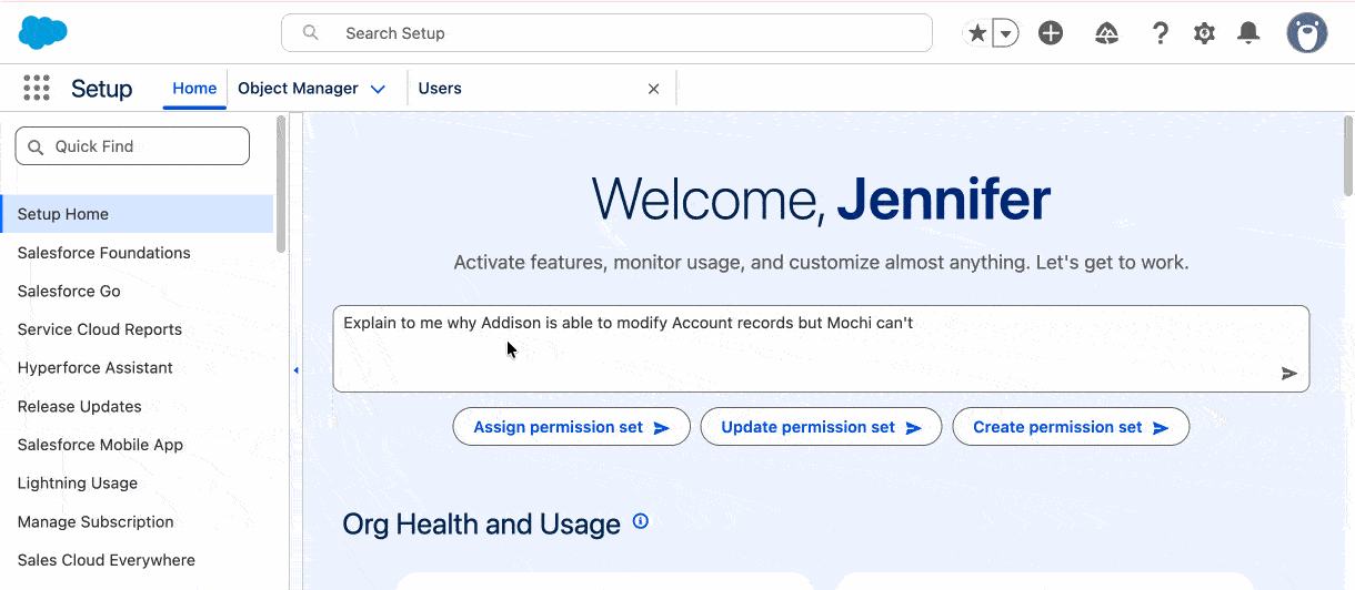 Setup with Agentforce user access troubleshooting: automatically checks the user's permission assignment chain to locate why access was denied