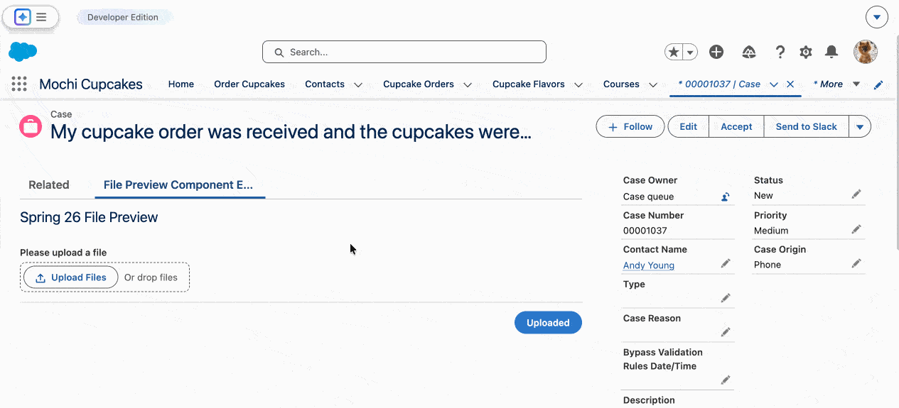 Screen Flow File Preview component: embedded PDF document viewer within a running Flow